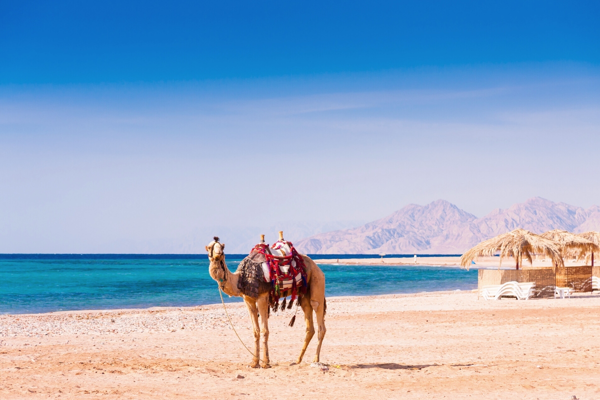 Red Sea, Egypt