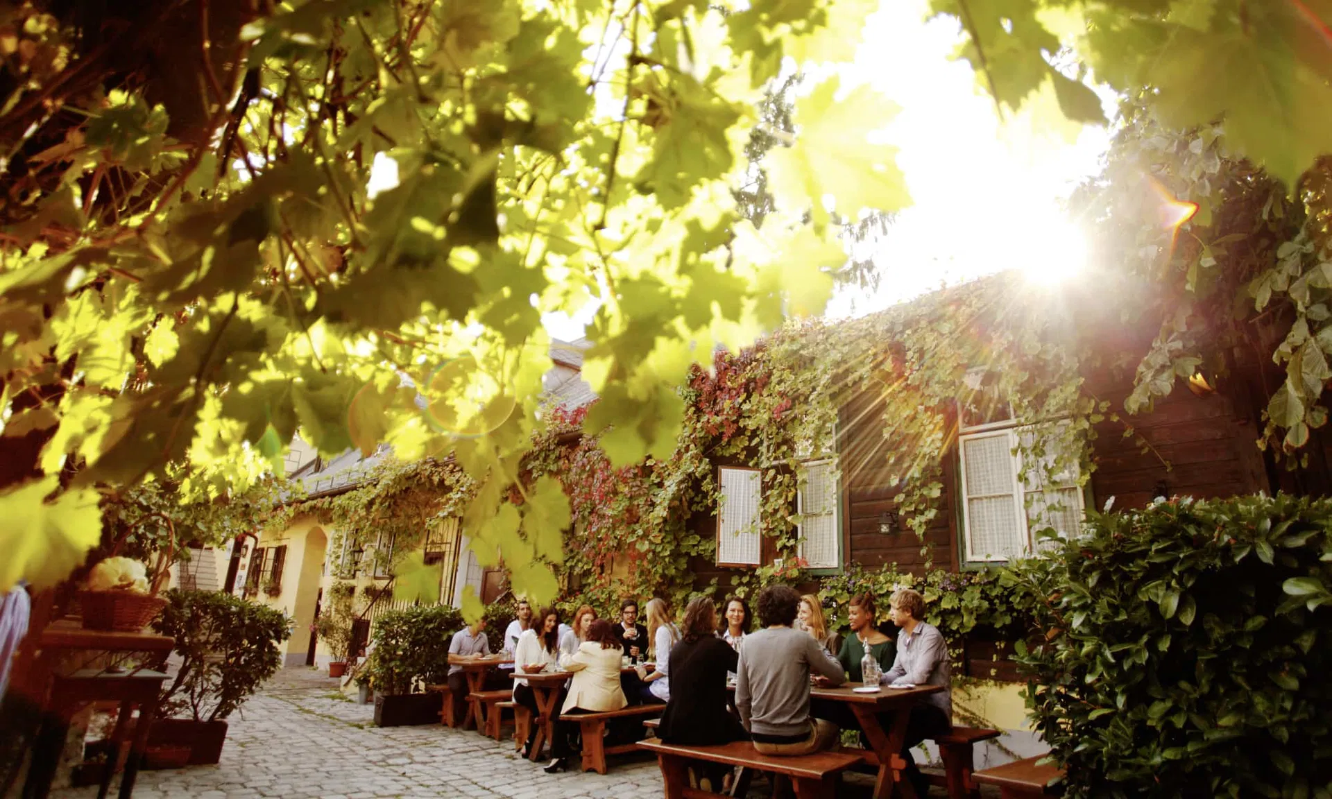 Typical 'Heuriger', Vienna